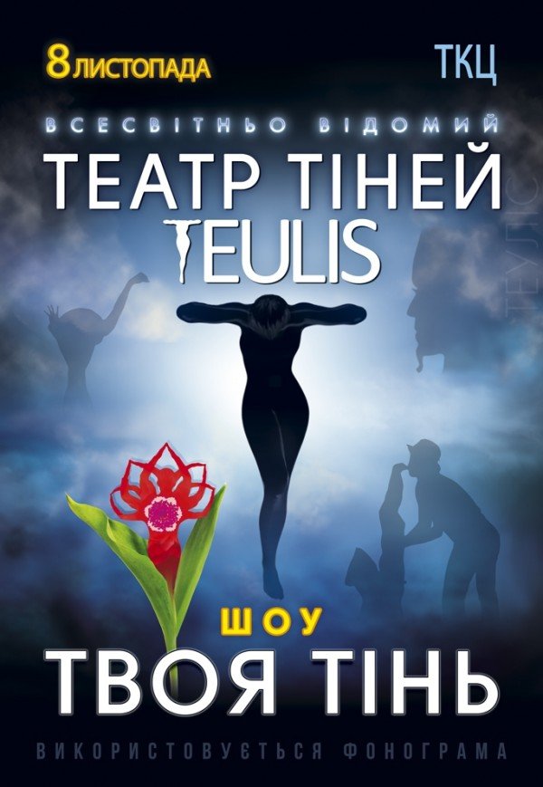 Театр Теней TEULIS. Шоу "Твоя тень"