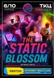 Гурт The Static Blossom. Cover Show