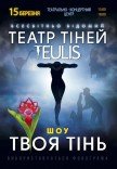 Театр Тіней TEULIS. Шоу "Твоя тінь"